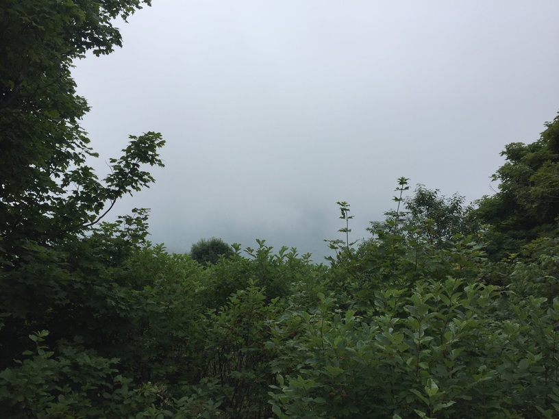 Misty weather at Windham High Peak