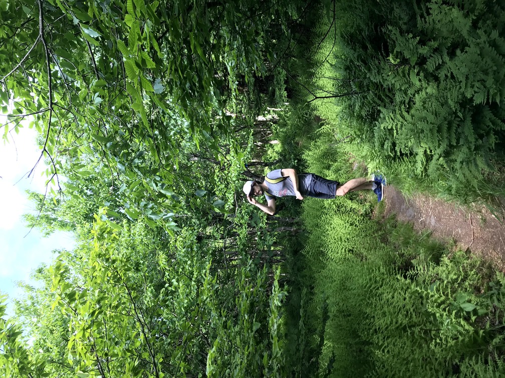 Dan in the ferns