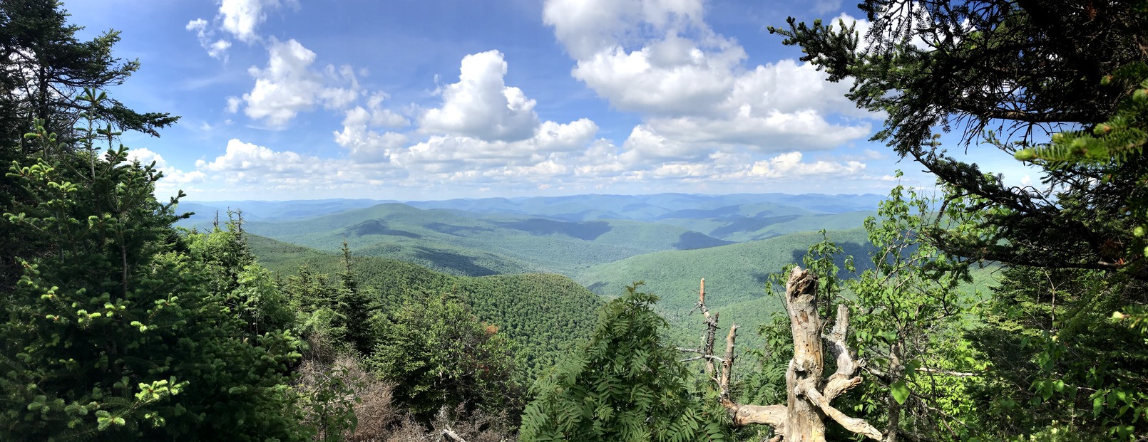 Panorama from the summit of Slide