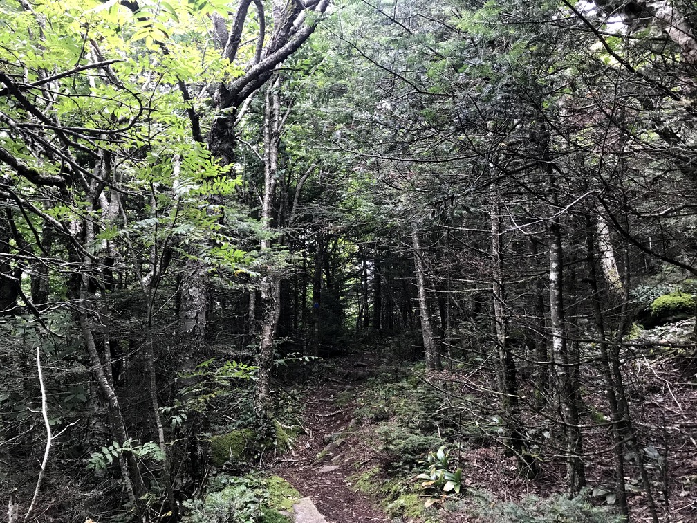 Trail getting steep