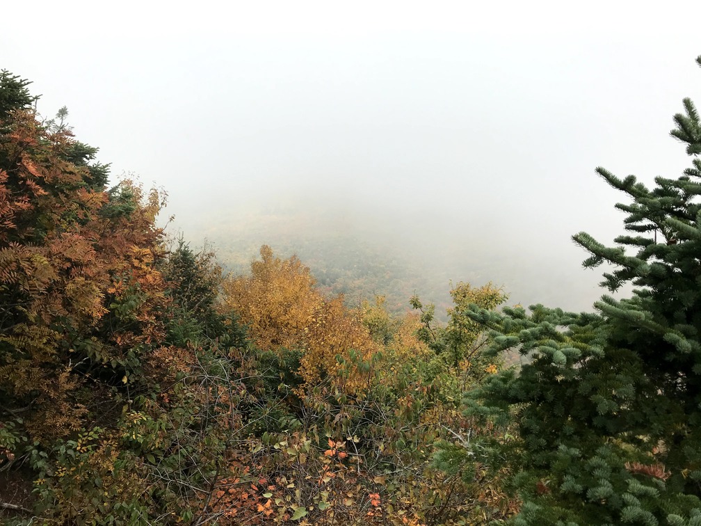 Foggy View