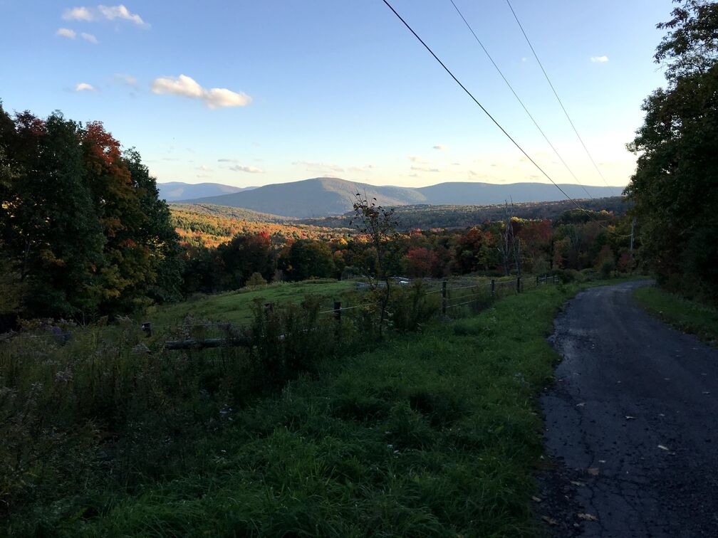 Hilly dirt road