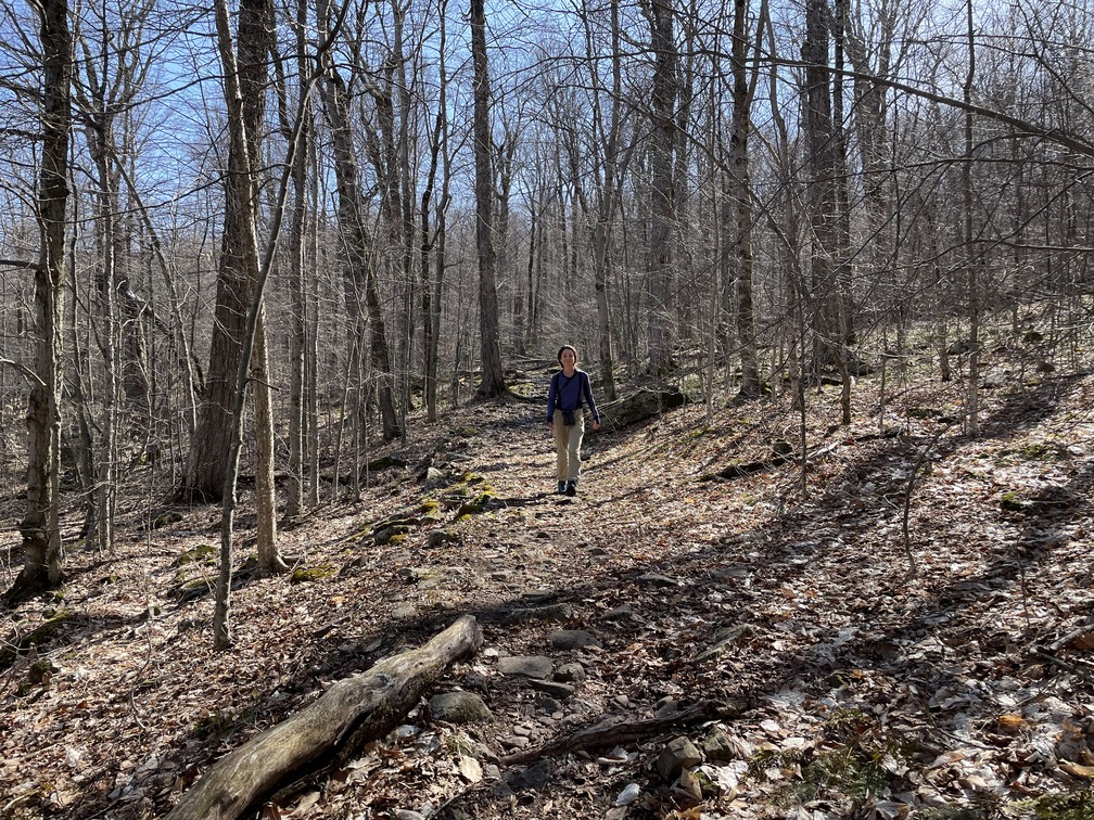 Walking through open woods