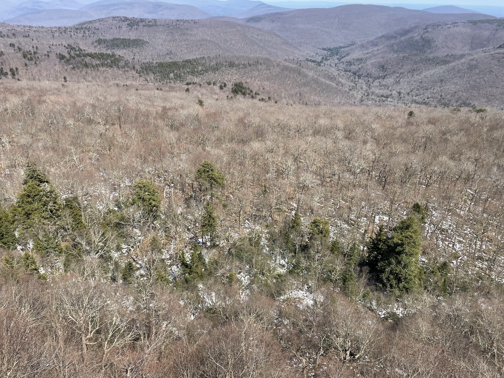 Snow visible from Giant Ledge