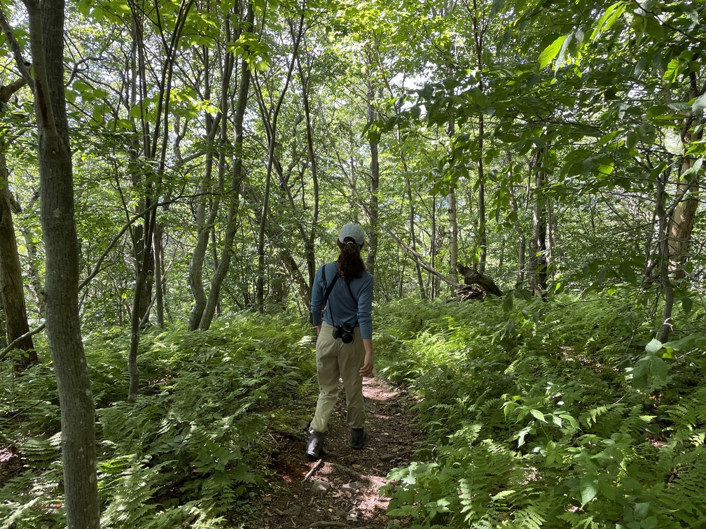 Alex in a fern grove