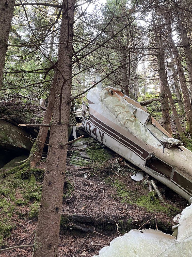 Plane wreck