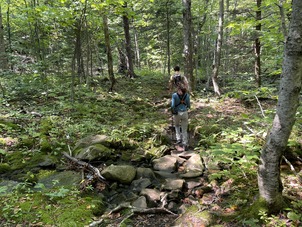 Hiking on the trail