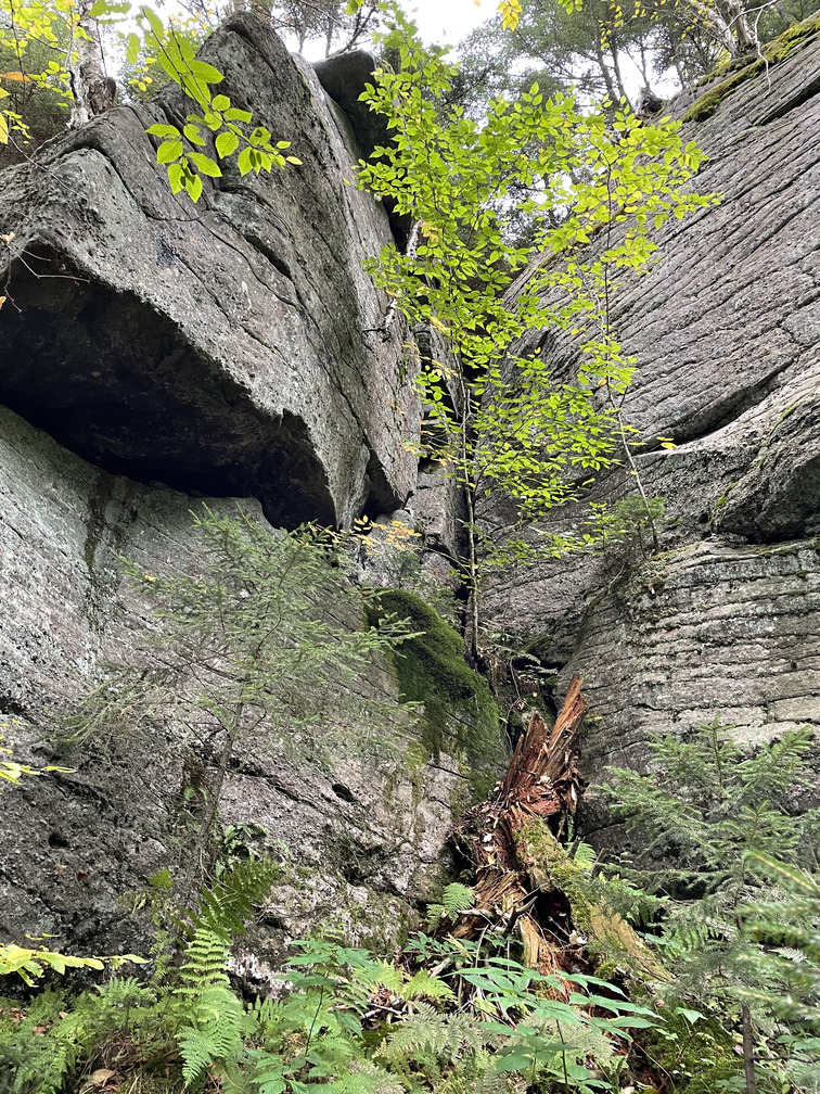 Rocky outcrop in the bushwhack