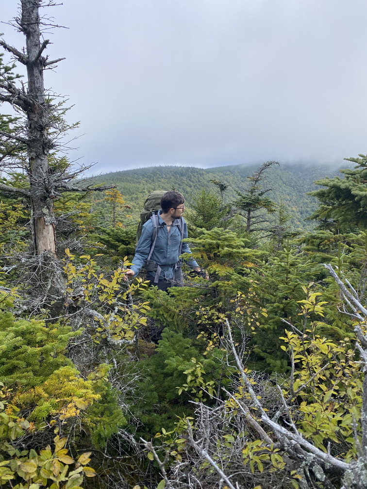 Dan in the brush