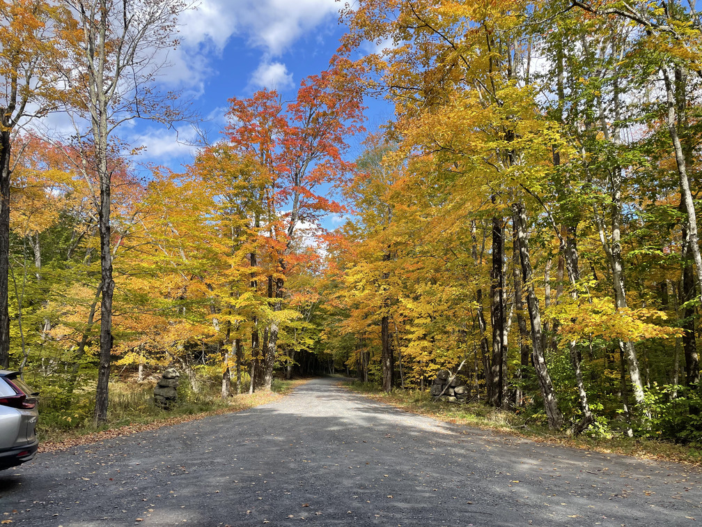 Looking like peak fall in the parking lot