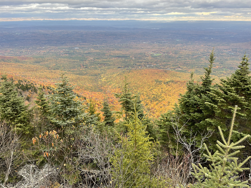 Scenic viewpoint with glowing fall colors