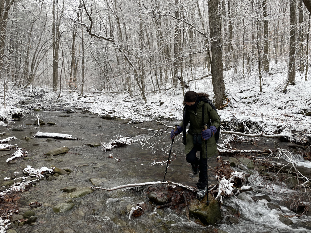 Treacherous river crossing