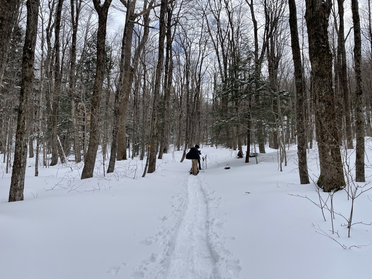 Flat section at the start of the trail