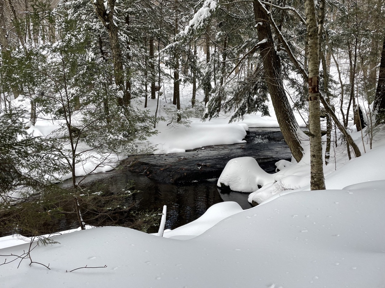 Beautiful snowy creek