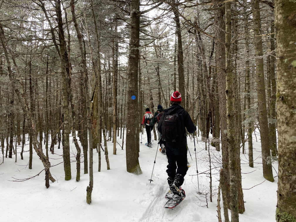 The trail, not so different than the bushwhack