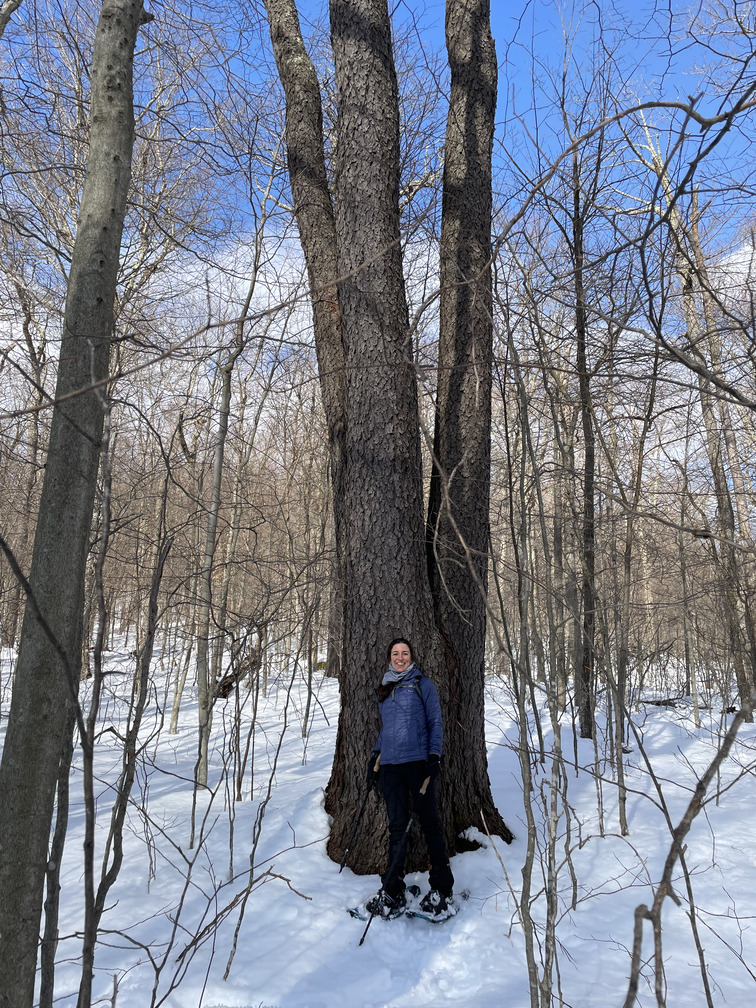 Alex with an enormous cherry tree