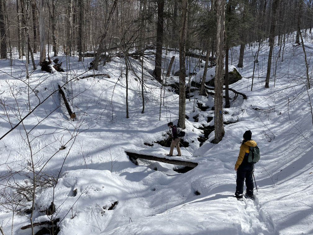 Crossing a stream on a snowy bridge