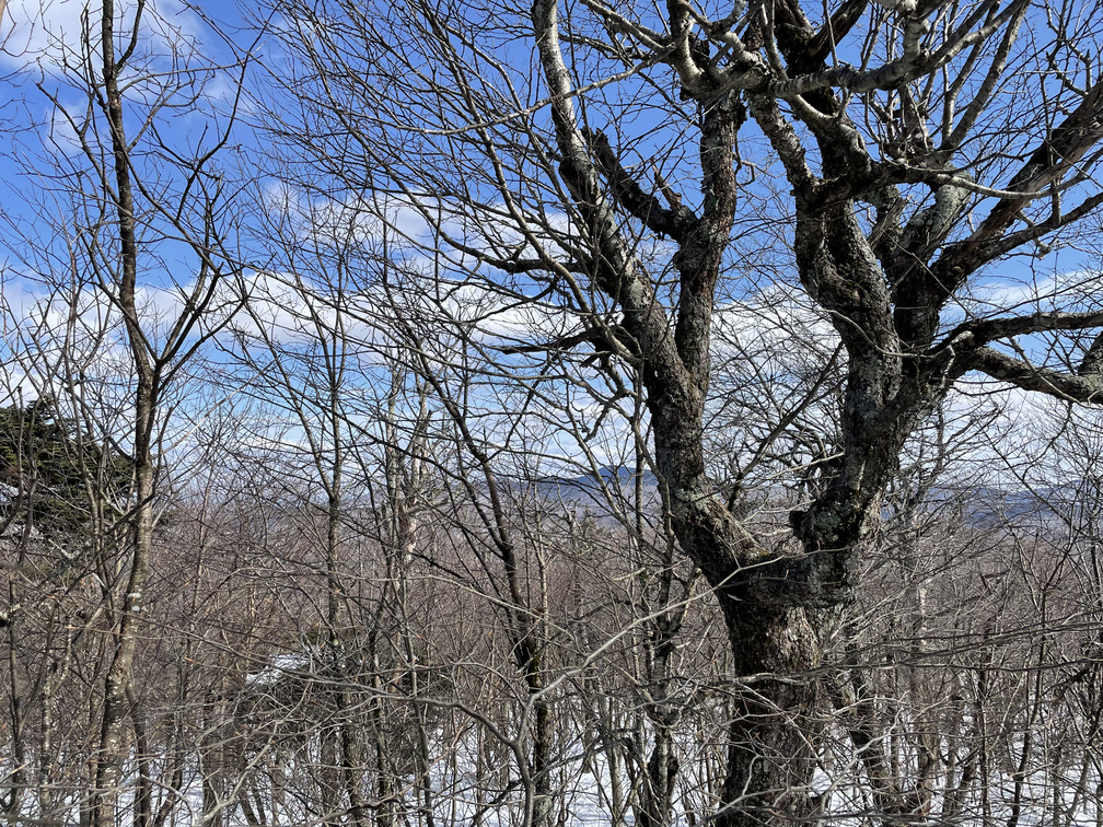 Partial view of Slide from the summit