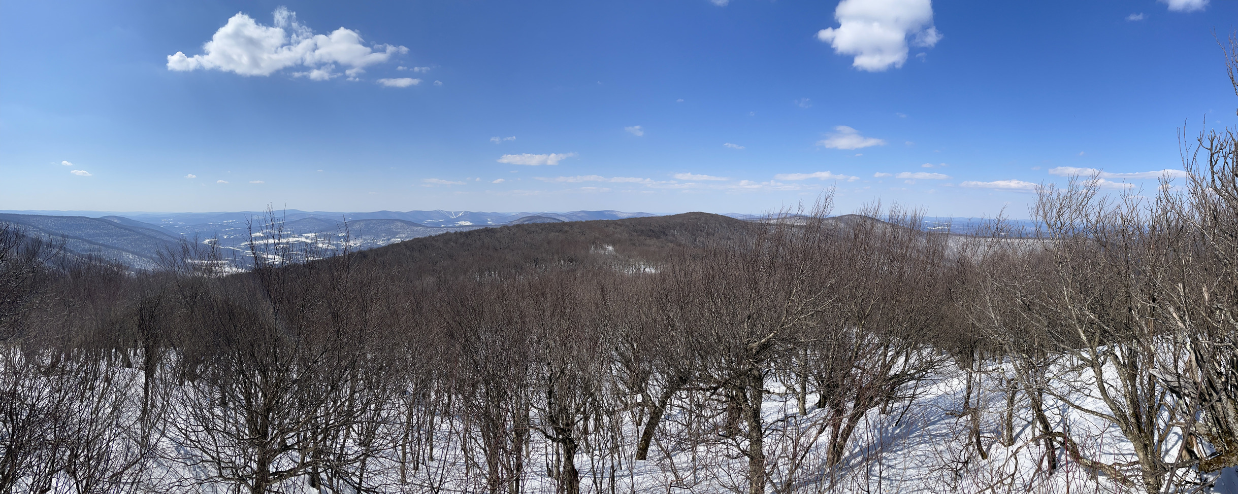 Panorama from Bearpen summit