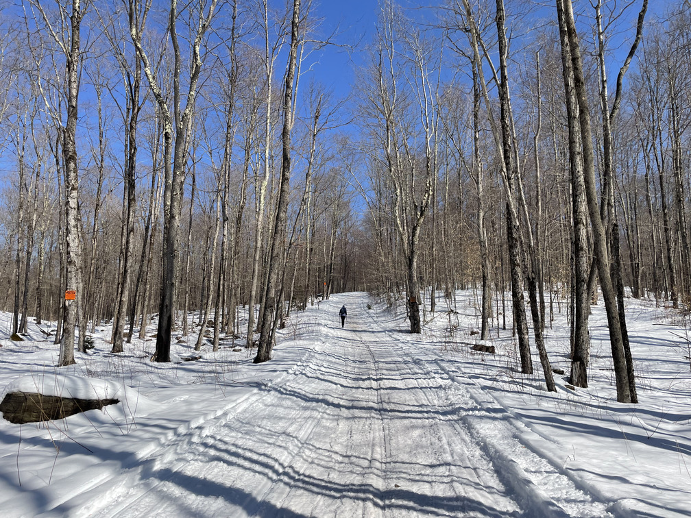 The start of the hike on Greene County Road 3