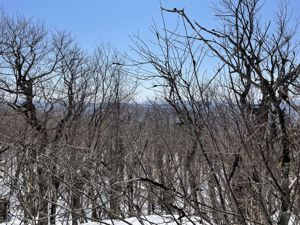 Partial view of Slide from the Vly summit