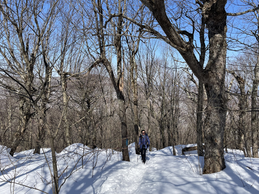 Trail getting steep (Bearpen in background)