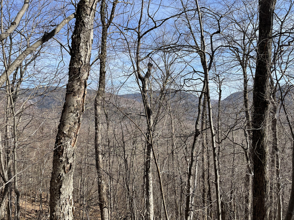 Partial view towards Westkill