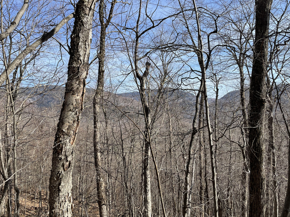 Partial view towards Westkill