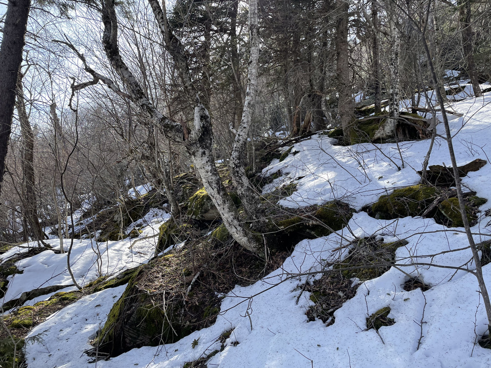 Snowy ledges below Rusk