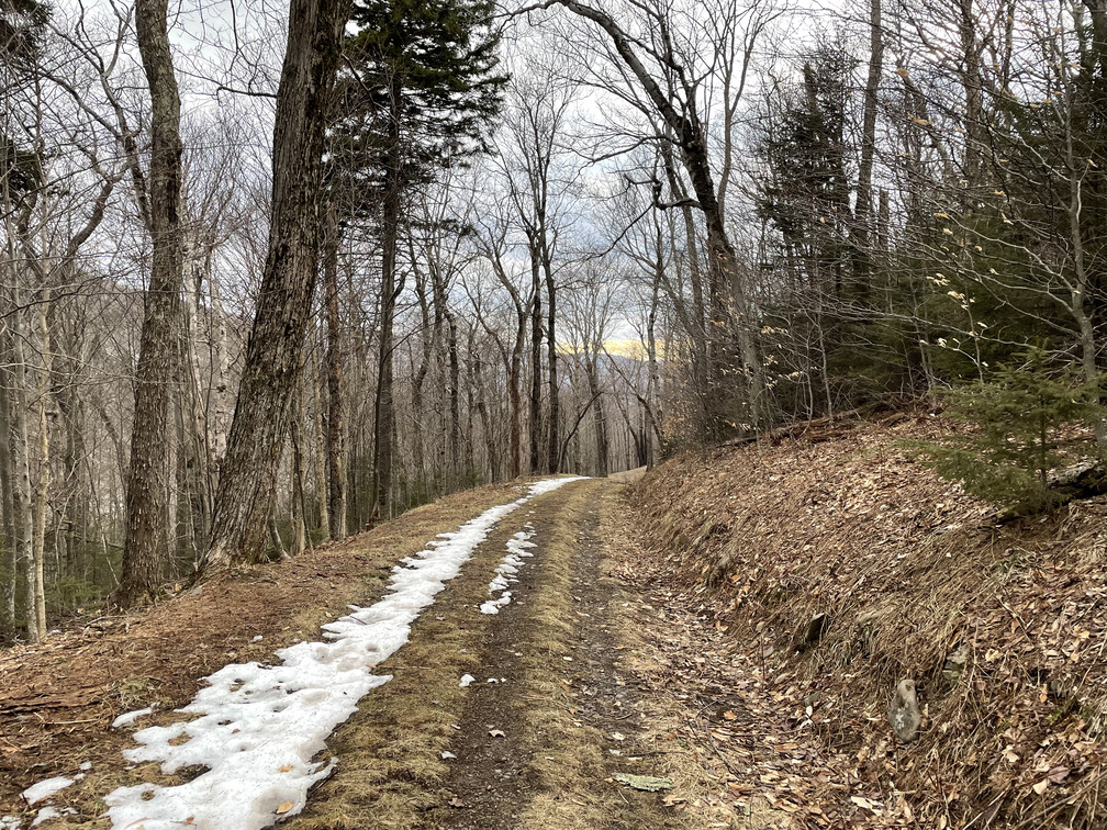 Carriage trail looking like sunset