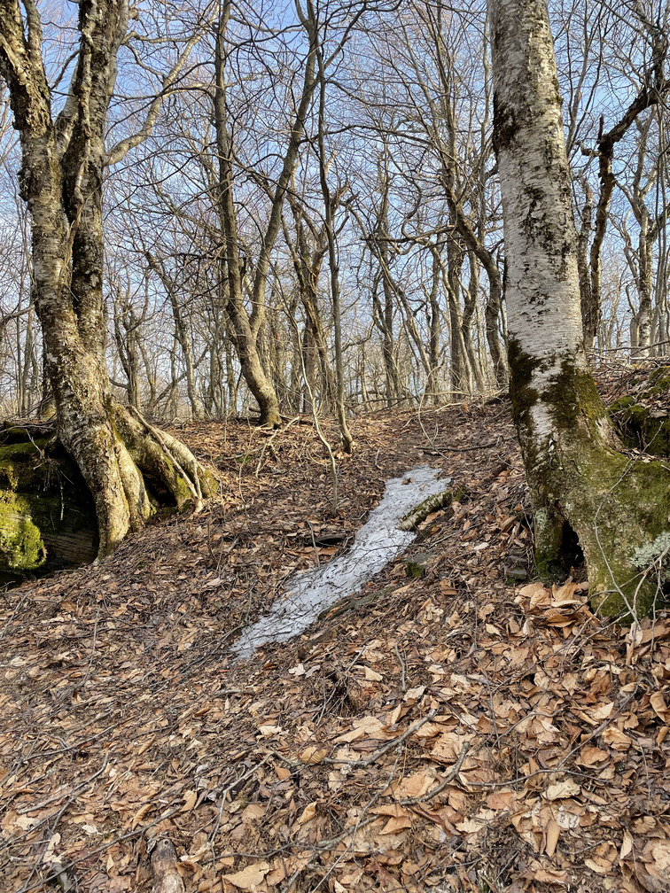 The lone patch of snow