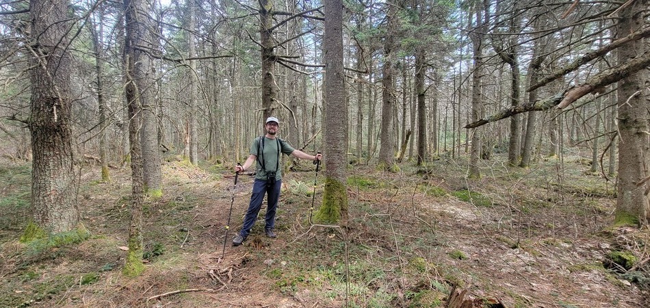 Dan bushwhacking