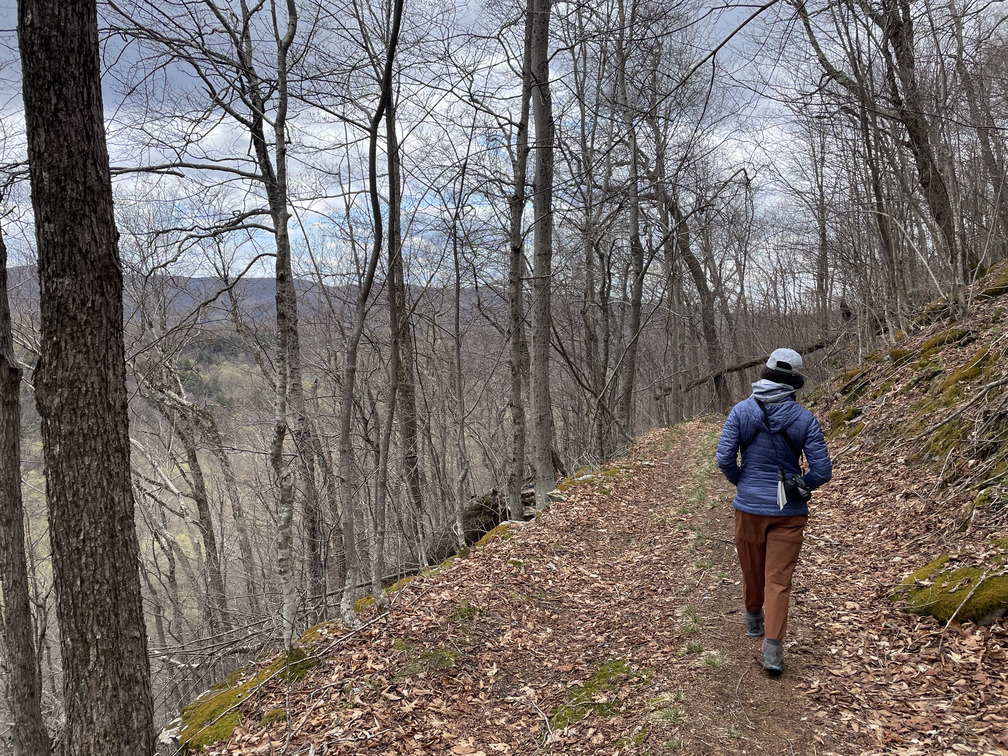 Exposed path along Dry Brook Ridge Trail