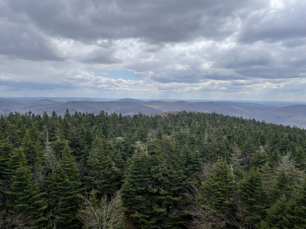 View from Fire Tower
