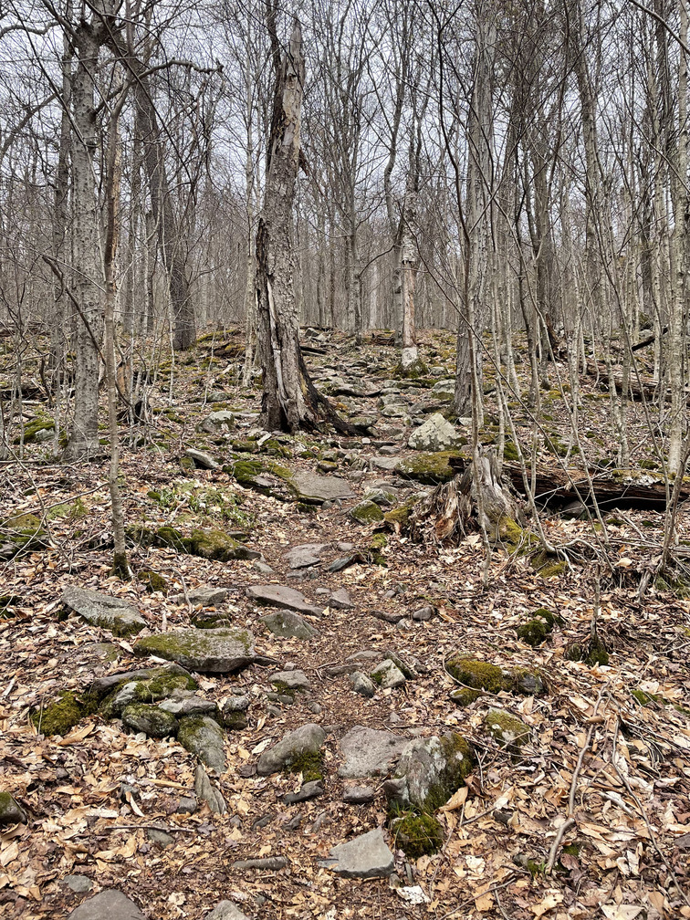 Trail getting steep