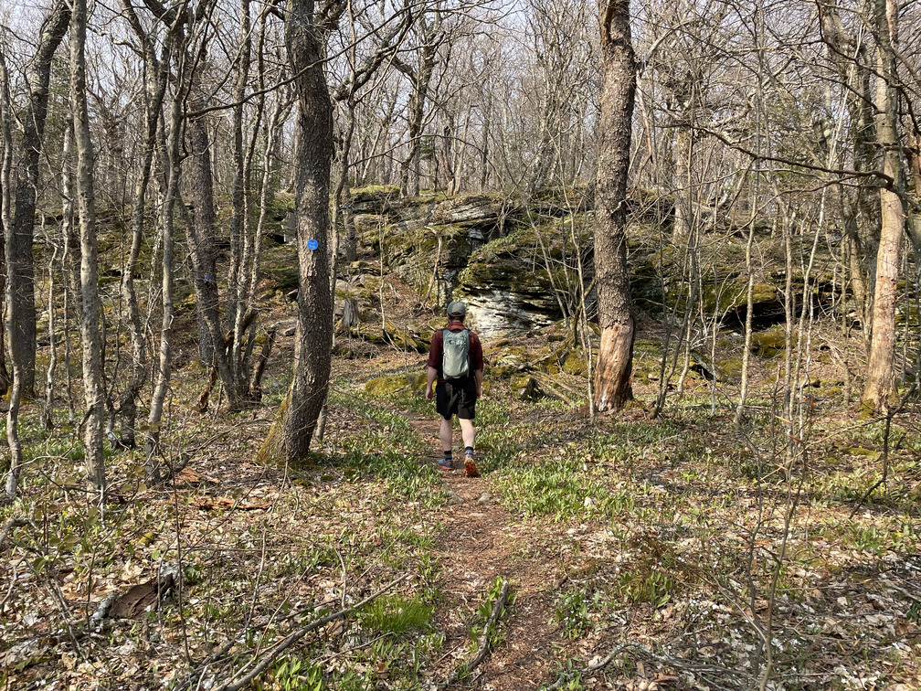 Rock wall near Haynes Mountain