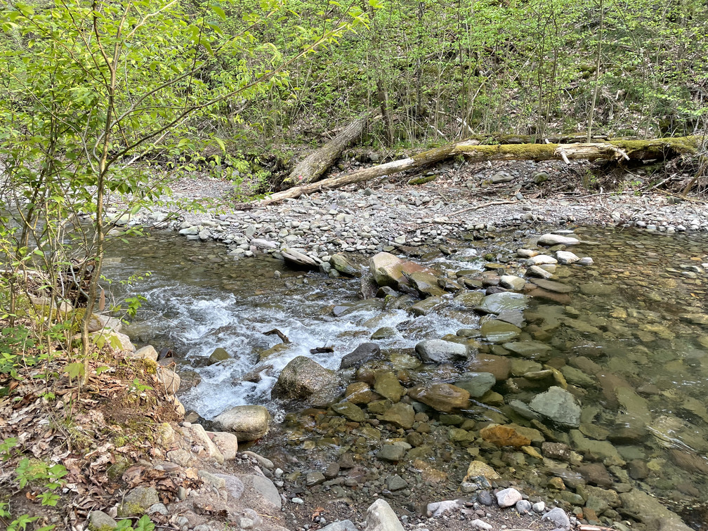 Stream crossing