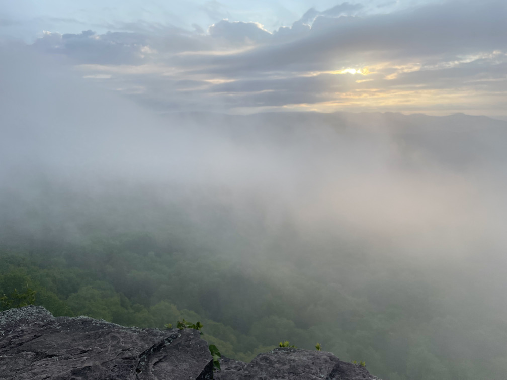 Foggy Sunrise