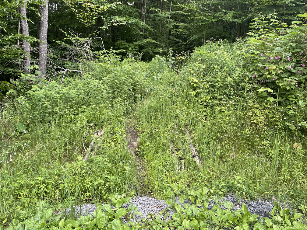 The Notch Inn Trailhead not looking obvious