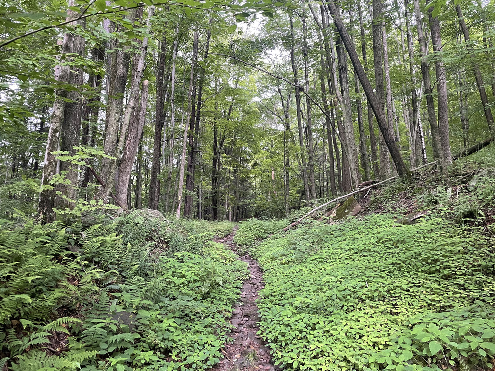 On the trail