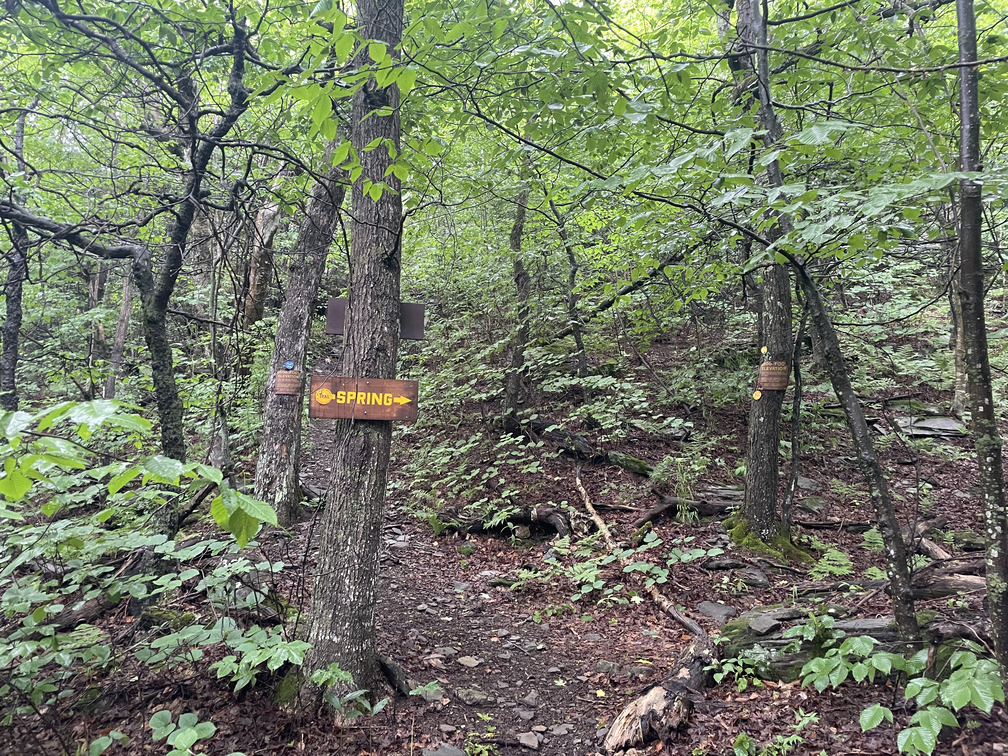 3500 Ft Sign with Spring