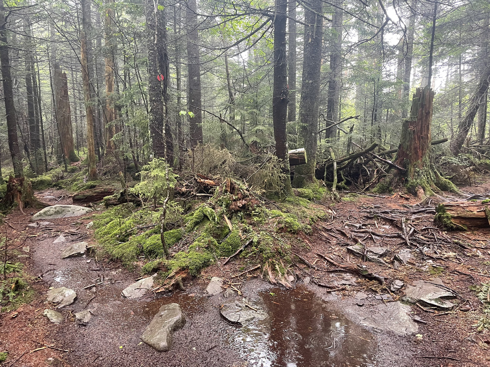 Plateau Mountain Summit