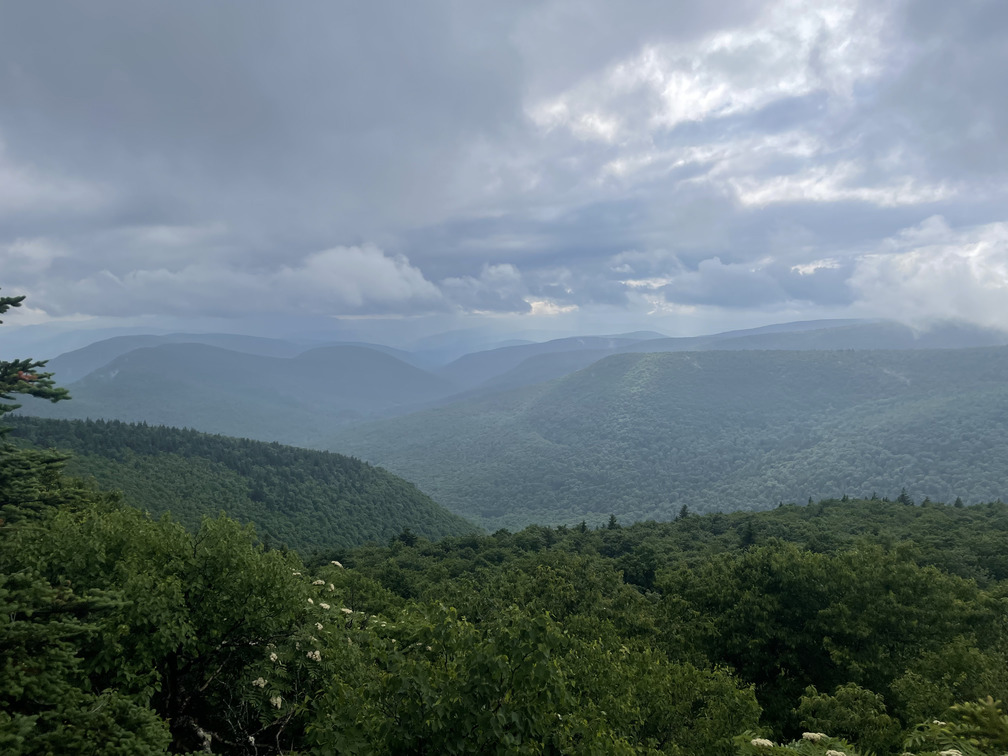 View from Orchard Point