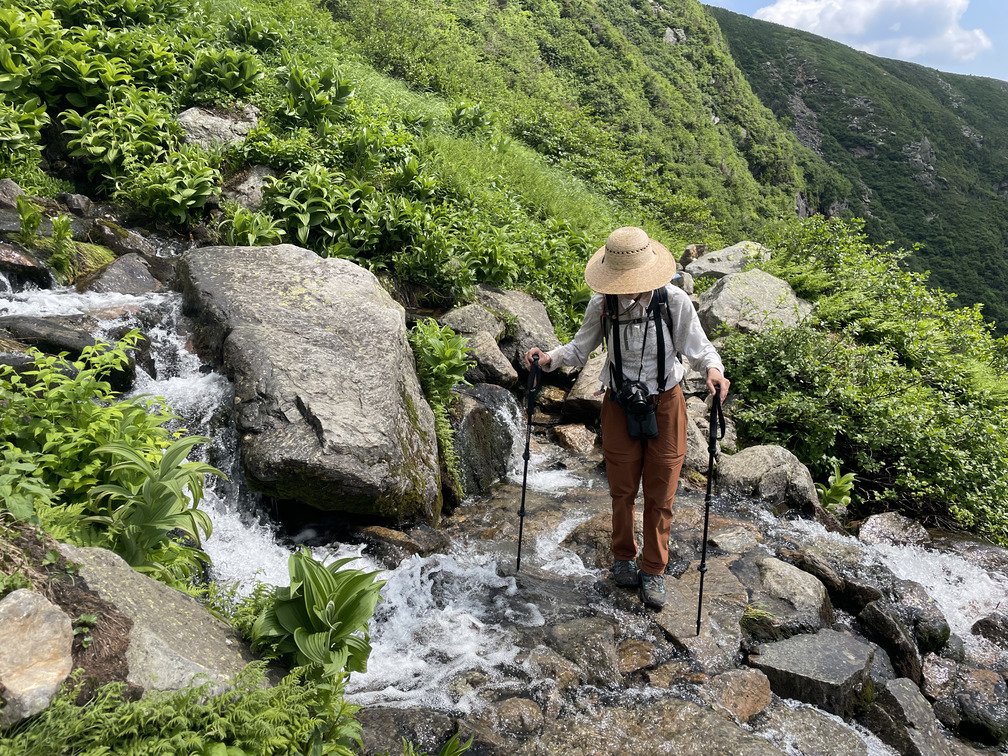 Alex botanizing on the Ravine