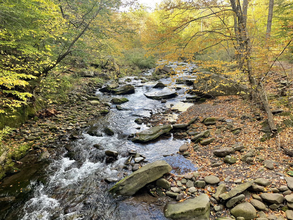 Crossing the Woodland Creek to start the hike