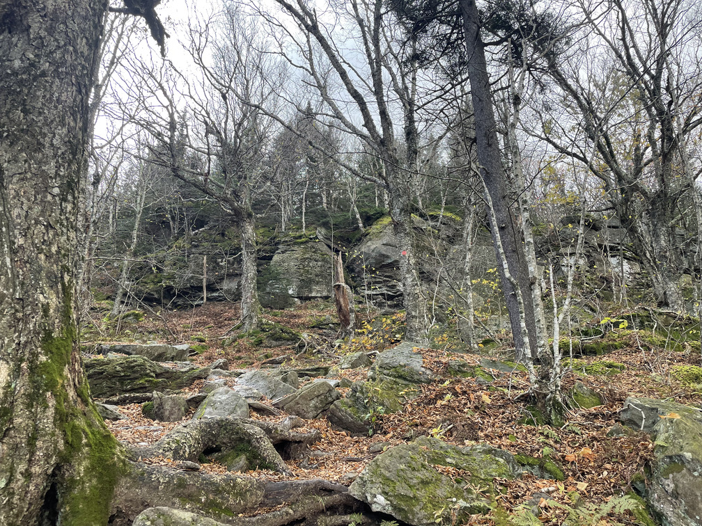 Rock scrambles on the way up to Wittenberg