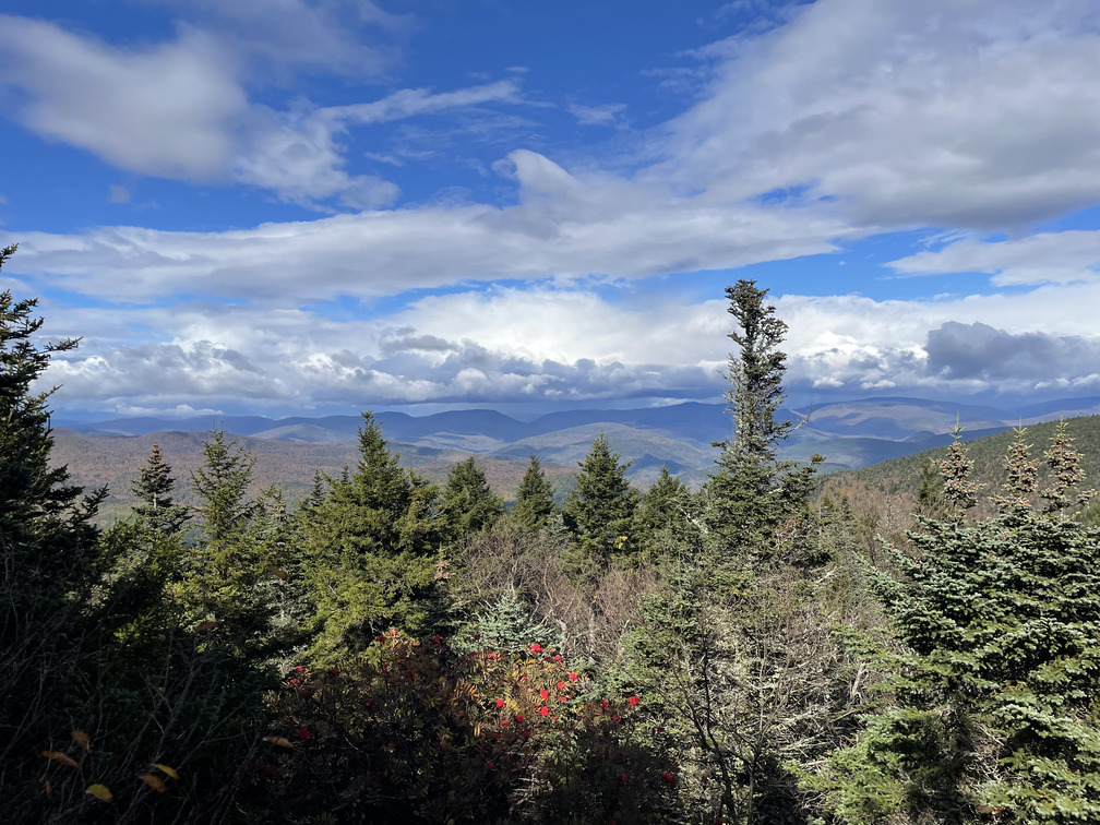 View from the Wittenberg/Cornell path with Mountain Ash berries