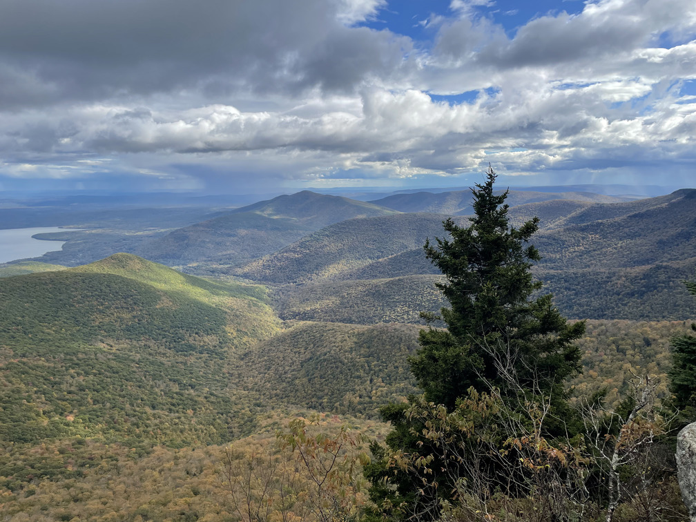 Dappled sunlight at the Wittenberg Summit