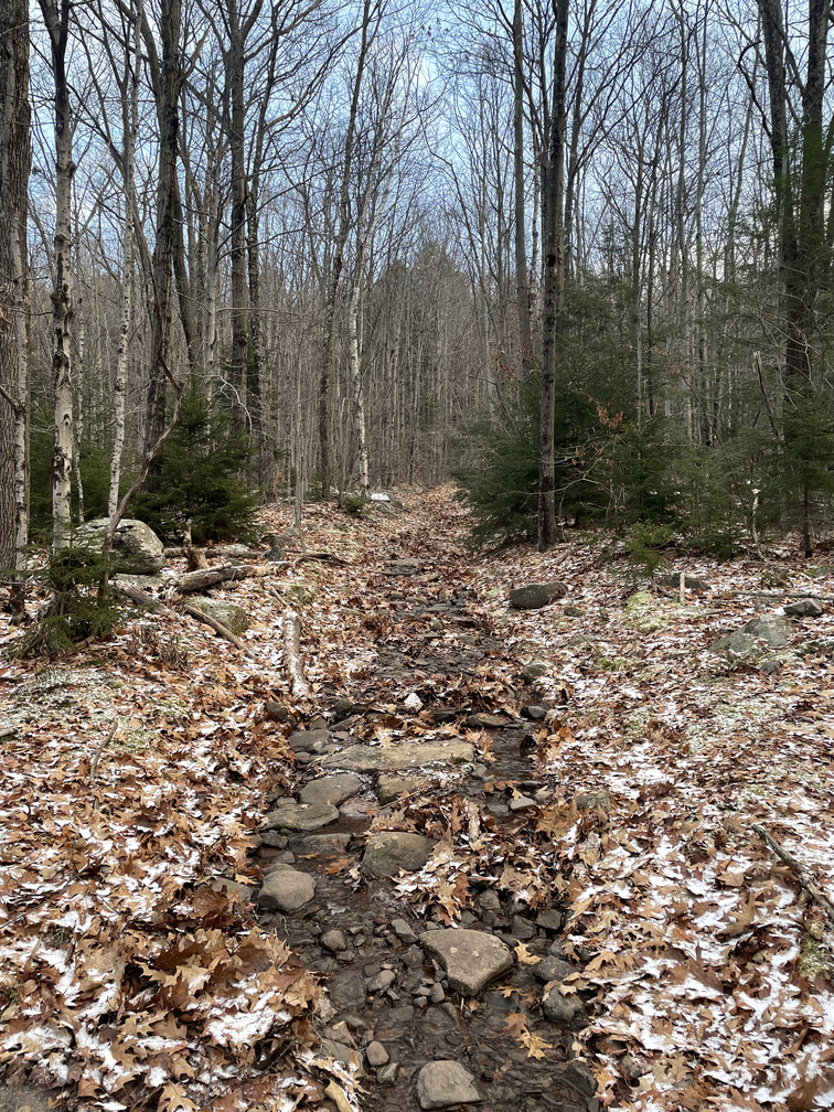 Initial trail from Gillespie Rd