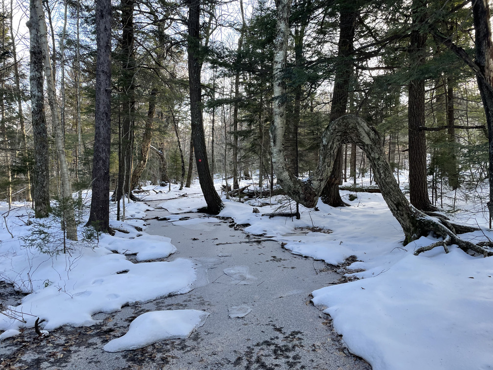 Ice on the snowmobile trail